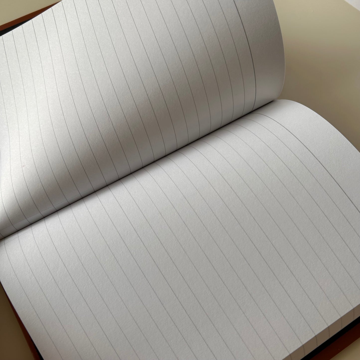 “Manifestation” Journal